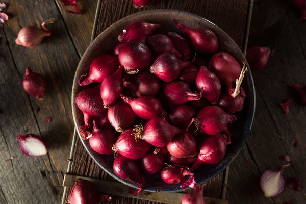 Cipolle rosse biologiche della perla — Foto Stock