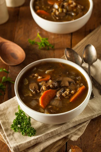 Homemade Mushroom Barley Soup — Stock Image Homemade Mushroom Barley Soup Stock Picture