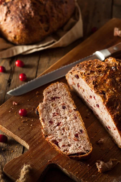 Pane di mirtillo rosso fatto in casa — Foto Stock