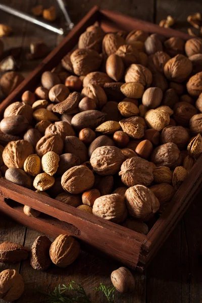 Rozmanité smíšené organické ořechy — Stock fotografie