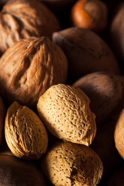 Assorted Mixed Organic Nuts — Stock Photo, Image