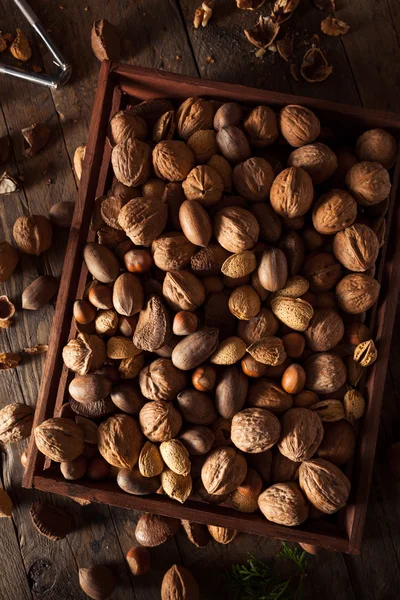 Assorted Mixed Organic Nuts — Stock Photo, Image