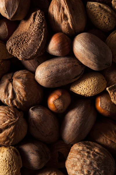 Assorted Mixed Organic Nuts — Stock Photo, Image