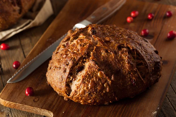 Домашний ореховый клюквенный хлеб — стоковое фото