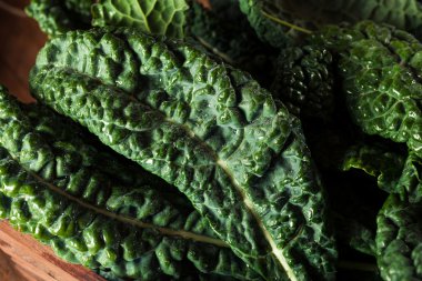 Organik yeşil Lacinato Kale