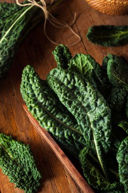 Organik yeşil Lacinato Kale