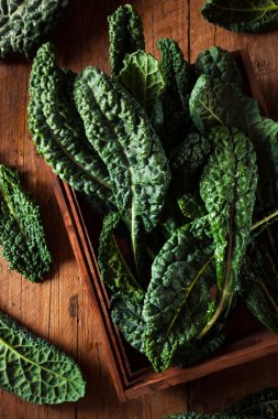 Organik yeşil Lacinato Kale