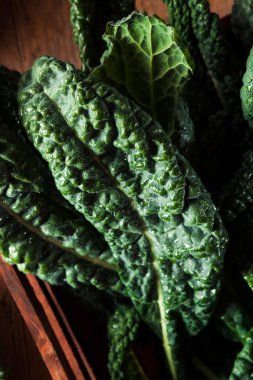 Organik yeşil Lacinato Kale