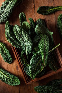 Organik yeşil Lacinato Kale