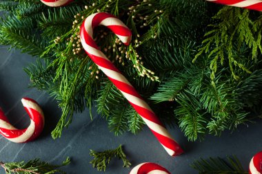 Festival ev yapımı şeker köpekler