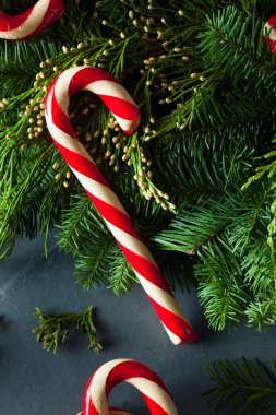 Festival ev yapımı şeker köpekler