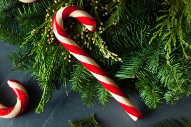 Festival ev yapımı şeker köpekler