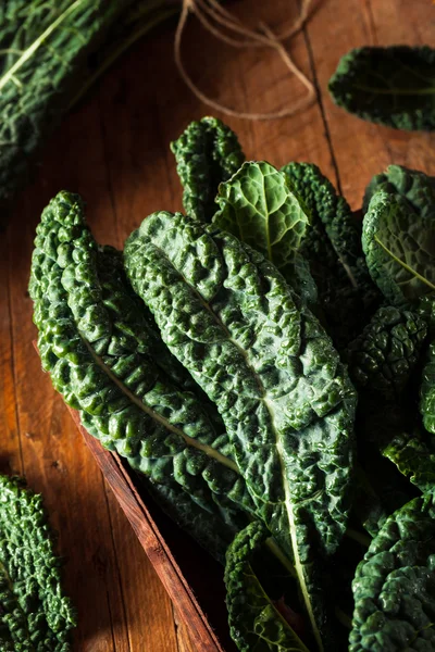 Organic Green Lacinato Kale — Stock Photo, Image