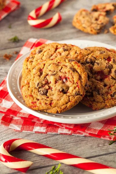 Zelfgemaakte Chocolade Pepermunt Cookies — Stockfoto