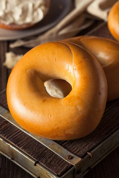 Hemgjord vanligt ägg Bagels — Stockfoto