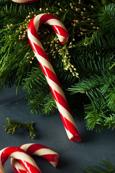 Festive Homemade Candy Canes — Stock Photo, Image