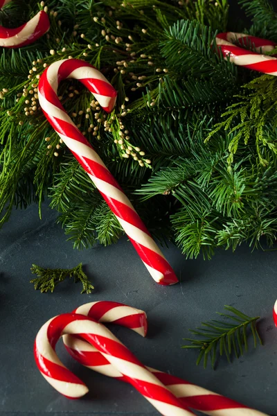 Canas de caramelo caseras festivas — Foto de Stock