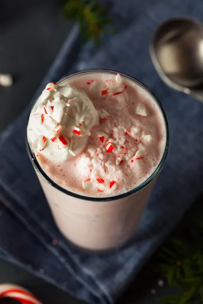 Riet van het suikergoed pepermunt Milkshake — Stockfoto