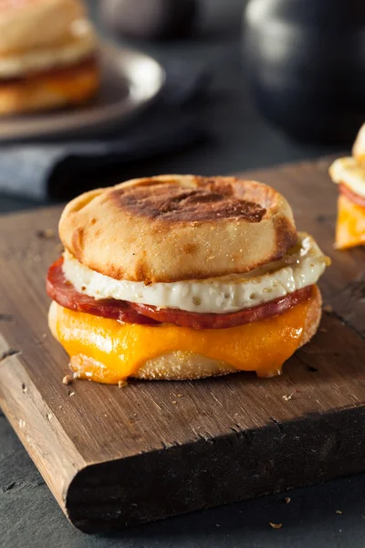 Ev yapımı kahvaltı yumurtalı sandviç — Stok fotoğraf