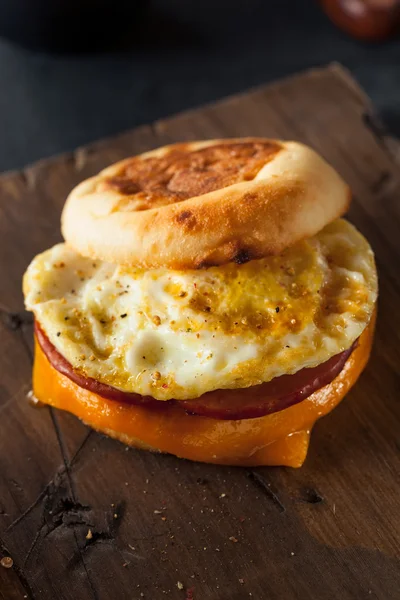 Colazione fatta in casa Egg Sandwich — Foto Stock