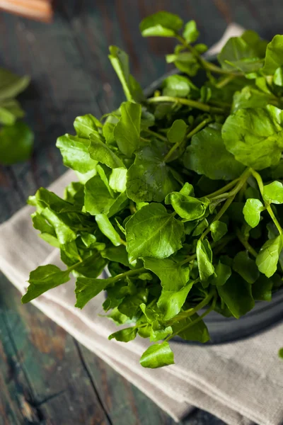 Berro verde orgánico crudo — Foto de Stock