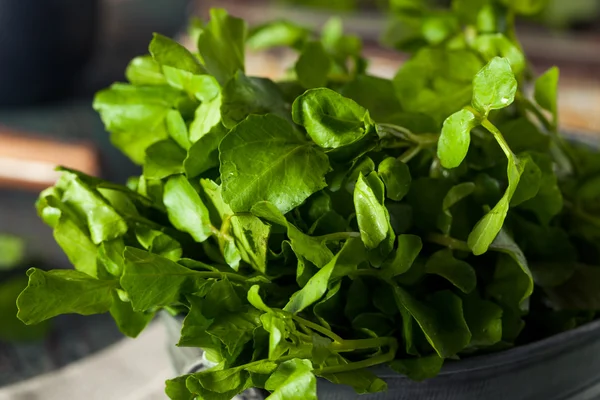 Berro verde orgánico crudo —  Fotos de Stock