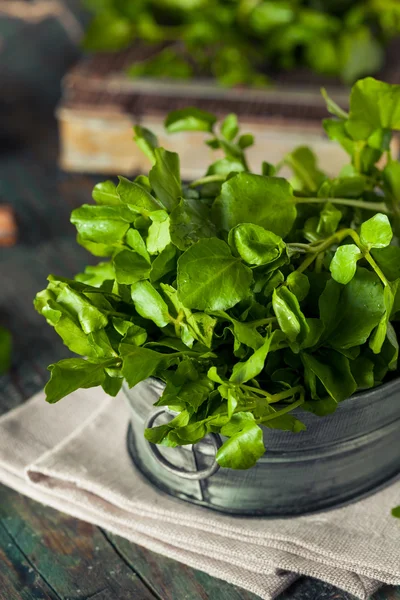 Berro verde orgánico crudo —  Fotos de Stock