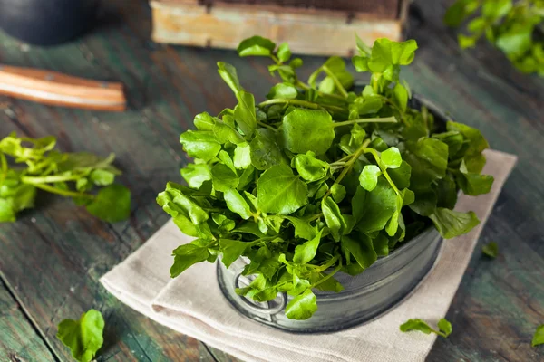 Berro verde orgánico crudo —  Fotos de Stock