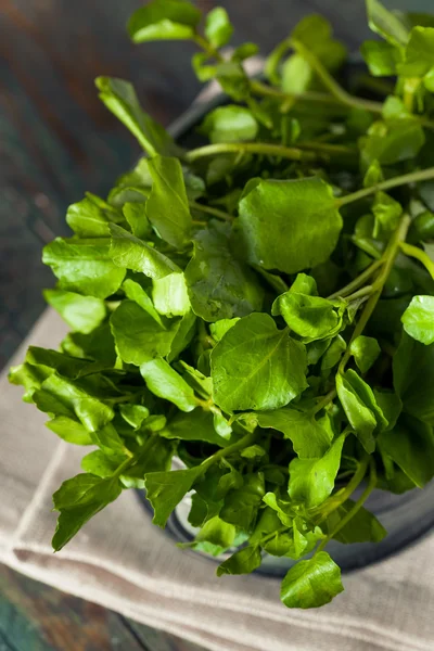 Rauwe biologische groene waterkers — Stockfoto