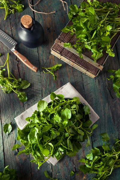 Сирі органічних зелені крес-салат — стокове фото
