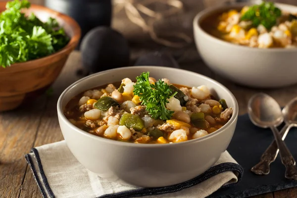 Hot Homemade White Bean Chicken Chili — Stock Image Hot Homemade White Bean Chicken Chili Stock Picture