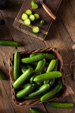 Ham organik Mini bebek salatalık