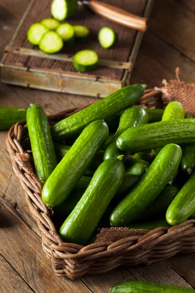 Stock image Raw Organic Mini Baby Cucumbers