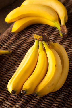 Raw Organic Bunch of Bananas clipart