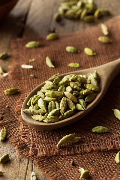 Vainas de cardamomo orgánico crudo —  Fotos de Stock