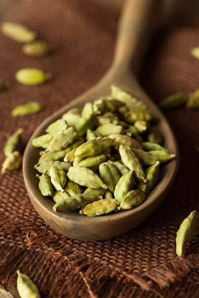 Vainas de cardamomo orgánico crudo —  Fotos de Stock