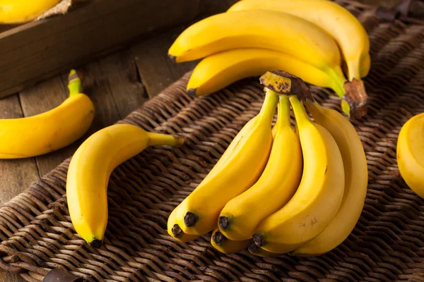Surové organické TRS banánů — Stock fotografie