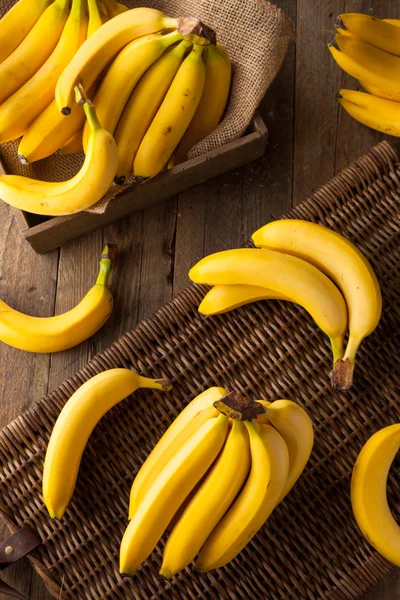 Nyers szerves csomó banán — Stock Fotó