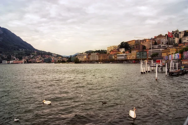 Costa Lugano na Suíça . — Fotografia de Stock