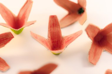 El yapımı kağıt çiçekler