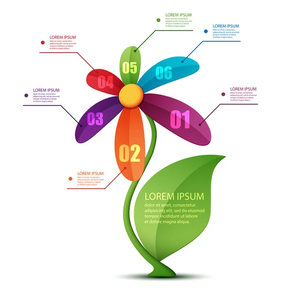 çiçek Infographic