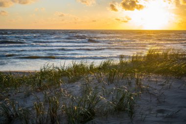Palanga sahilinde günbatımı kumulları