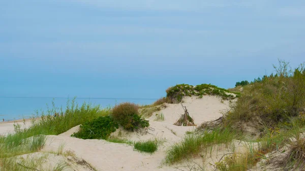 Dunes Lithuania Baltic Sea Shore — Stock Photo, Image