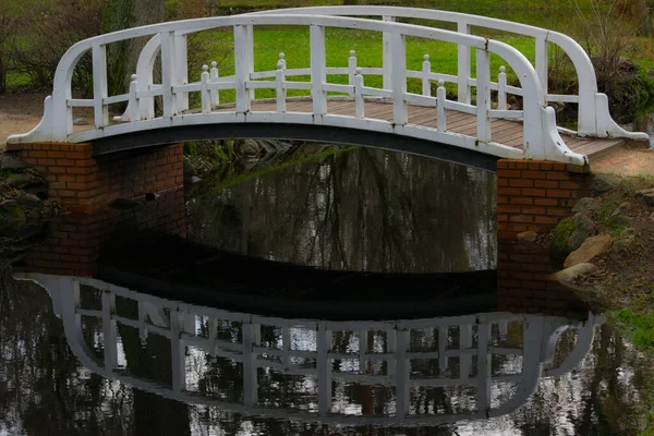 Ponte Reflexão Sobre Água Parque — Fotografia de Stock