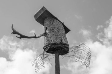 Gökyüzüne karşı kuş yuvası