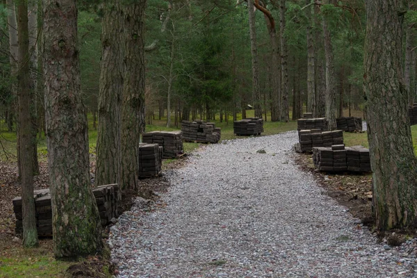 Parkta kaldırım inşaatı