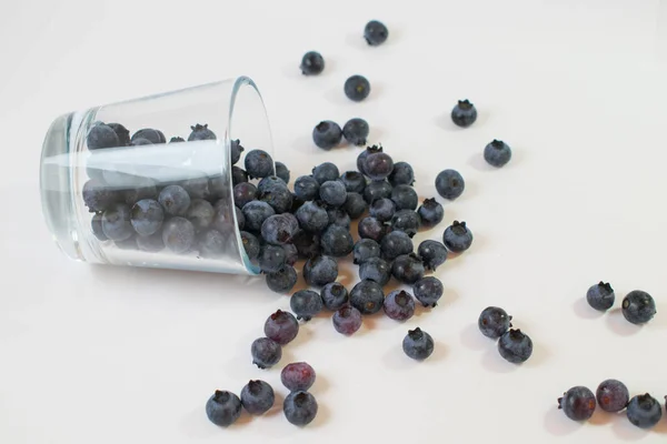 Spilled Blueberries Glass Cup — Stock Photo, Image