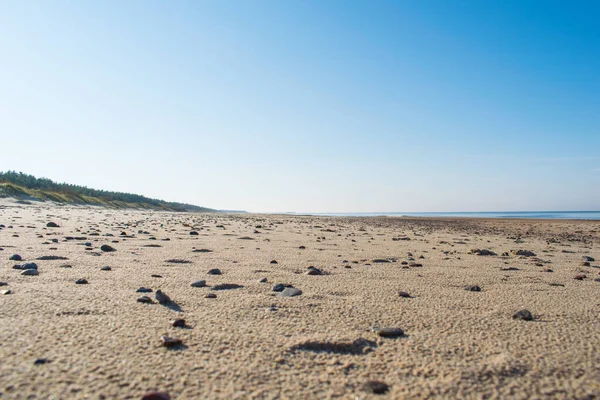 Praia Baltic Outono Lithuania Palanga — Fotografia de Stock
