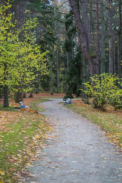 Stezka Parku Spadlým Listím Podzim Palanze — Stock fotografie