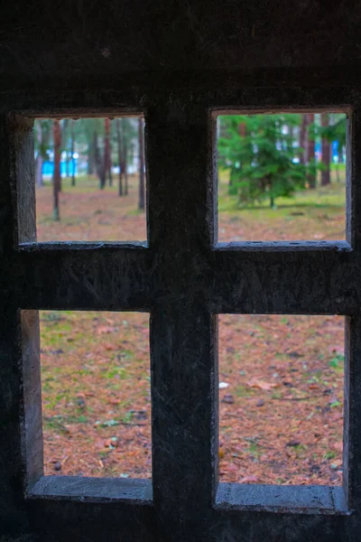 Okno Podzimní Přírody — Stock fotografie